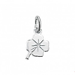 ZILVEREN HANGER KLAVER 6 X 8 MM - 1005377 - 220395 ZILVEREN HANGER KLAVER 6 X 8 MM - 1005377 - 220395