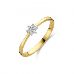 BERNSTEIN BICOLOR GOUDEN RING BRILJANT - 217736