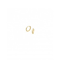 ZILVER VERGULDE OORRINGEN 9X1.3MM - 216588