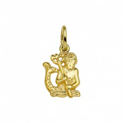 GOUDEN HANGER STERRENBEELD - WATERMAN - 215590 GOUDEN HANGER STERRENBEELD - WATERMAN - 215590