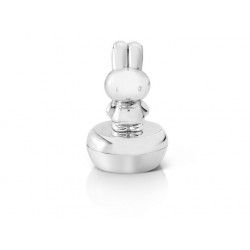 ZILVERSTAD TANDENDOOSJE NIJNTJE - 128569