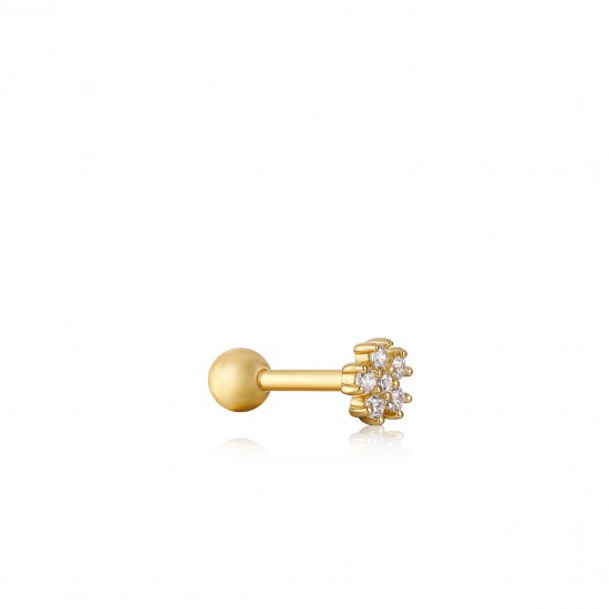 ANIA HAIE SIERADEN, OORBELLEN AH E035-10G • 505246900727