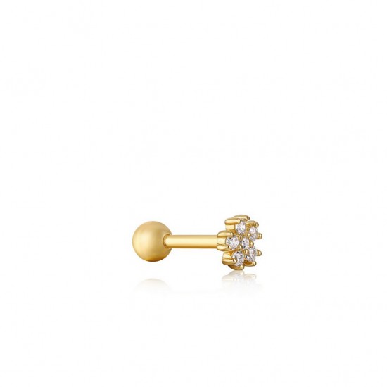 ANIA HAIE SIERADEN, OORBELLEN AH E035-10G • 505246900727