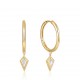 ANIA HAIE SIERADEN, OORBELLEN AH E041-05G-W • 505246901014