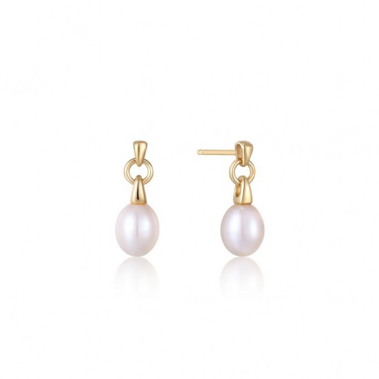 ANIA HAIE SIERADEN, OORBELLEN AH E043-02G • 505246901101