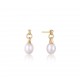 ANIA HAIE SIERADEN, OORBELLEN AH E043-02G • 505246901101