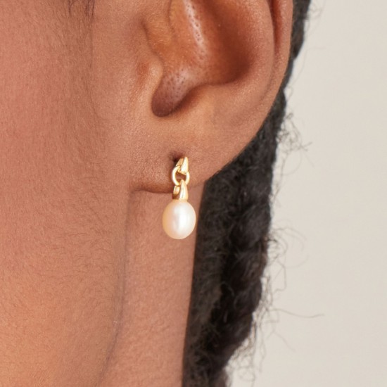 ANIA HAIE SIERADEN, OORBELLEN AH E043-02G • 505246901101