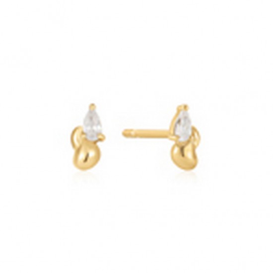 ANIA HAIE SIERADEN, OORBELLEN AH E050-02G • 505246901354