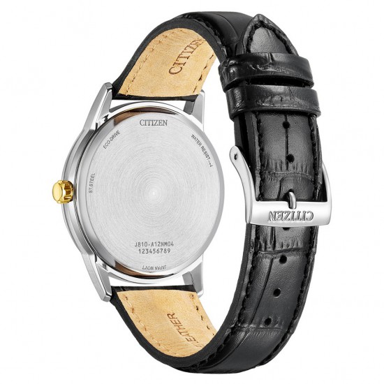 CITIZEN HORLOGES AW1784-16E • 497437433780