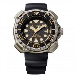 CITIZEN HORLOGE - 219003