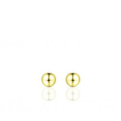 GISSER GOUD ZILVEREN OORKNOPPEN - 6 MM - 212392 GISSER GOUD ZILVEREN OORKNOPPEN - 6 MM - 212392