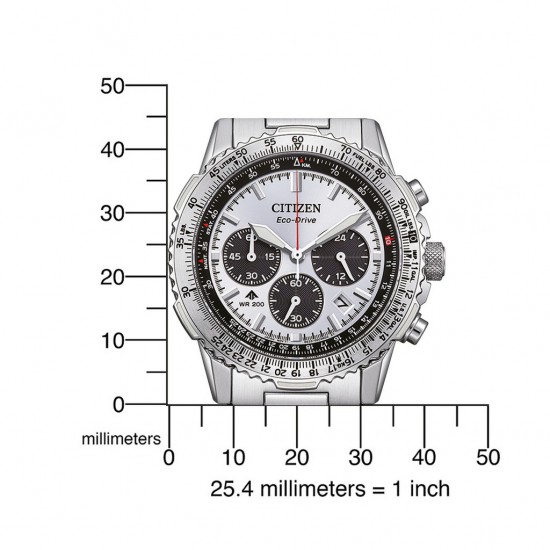 CITIZEN HORLOGES CA4660-61A • 