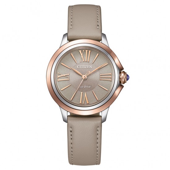 CITIZEN HORLOGES EM1166-01Z • 497437434226