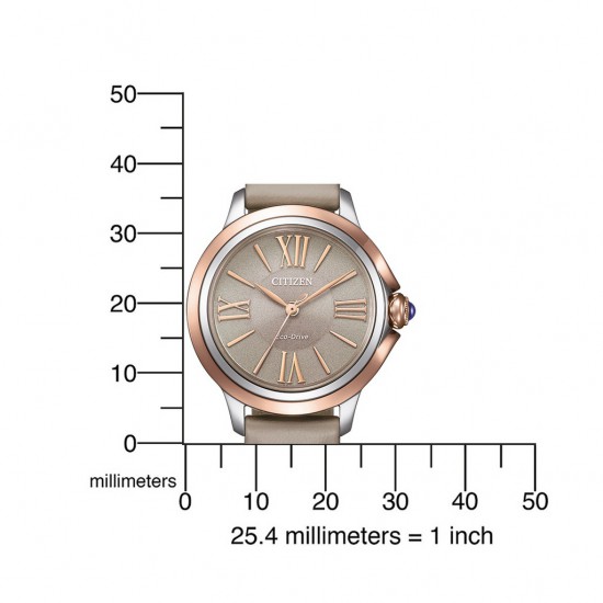 CITIZEN HORLOGES EM1166-01Z • 497437434226