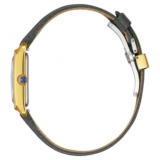 CITIZEN HORLOGES EW5622-09P • S20681151