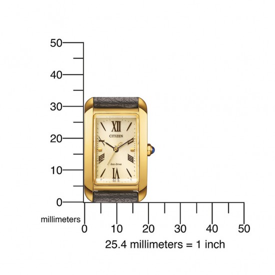 CITIZEN HORLOGES EW5622-09P • S20681151