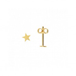 JACKIE GOUDEN OORSTEKERS - MINI STAR - 213068 JACKIE GOUDEN OORSTEKERS - MINI STAR - 213068
