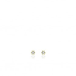 GISSER GOUD OP ZILVER OORKNOPPEN MET CUBIC ZIRKONIA - 2 MM - 212415